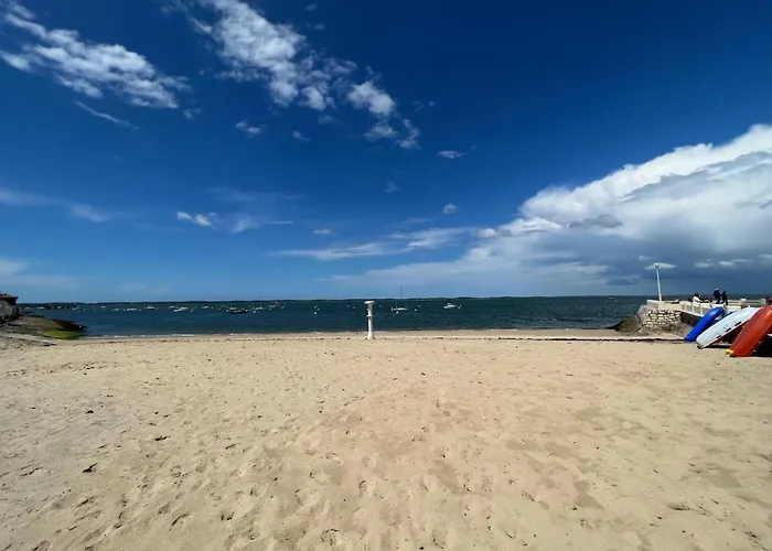 A - Proche Du Moulleau Avec Terrasse - Fr-1-474-281 아파트 아르카숑